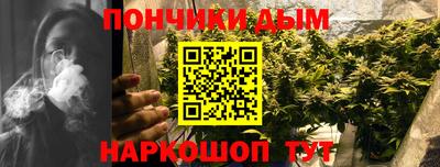 гашик Новодвинск
