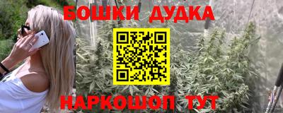 гашик Новодвинск